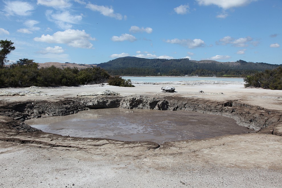 Camerons Laughing Gas Pool